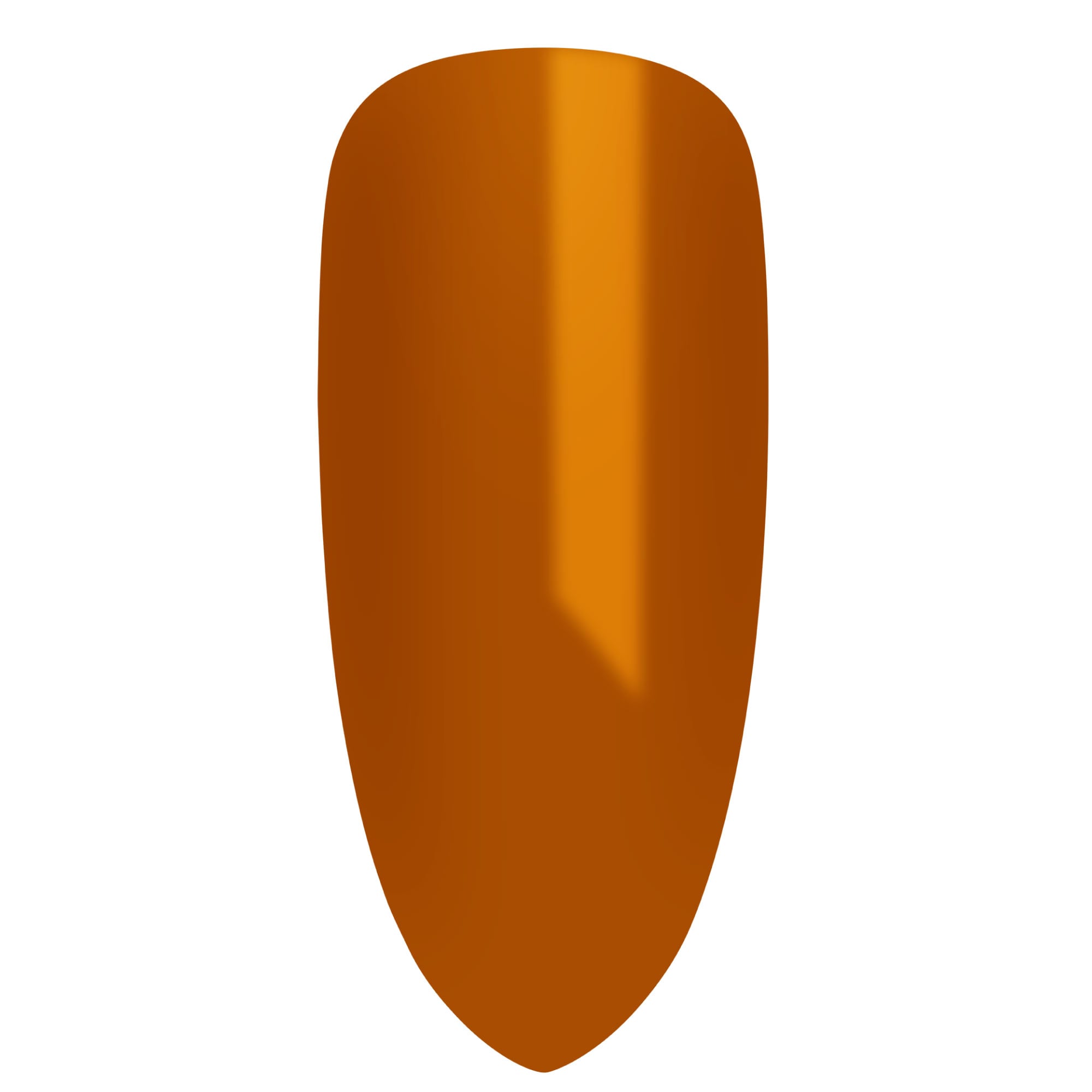 178465157641140923438.jpg